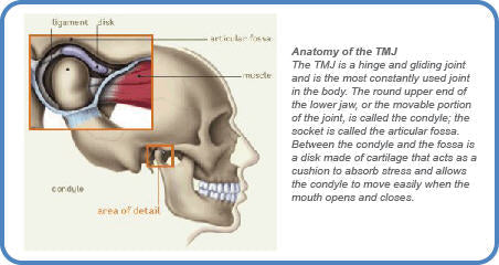 The Temporomandibular Joint (TMJ)